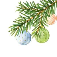 Watercolor christmas tree branches decorated with blue, pink, green glass balls hanging on golden ribbon. Vector. Watercolor Xmas ornaments illustration for decoration and design vector