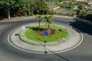 a roundabout with palm trees and a traffic sign photo