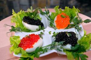 poner negro caviar en un huevo a servir delicioso sano comida mitades de un hervido pollo huevo con rojo caviar en un de madera antecedentes. foto