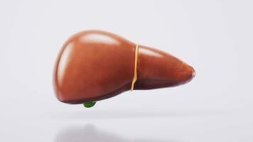 Liver organ with fatty liver state, 3d rendering. video