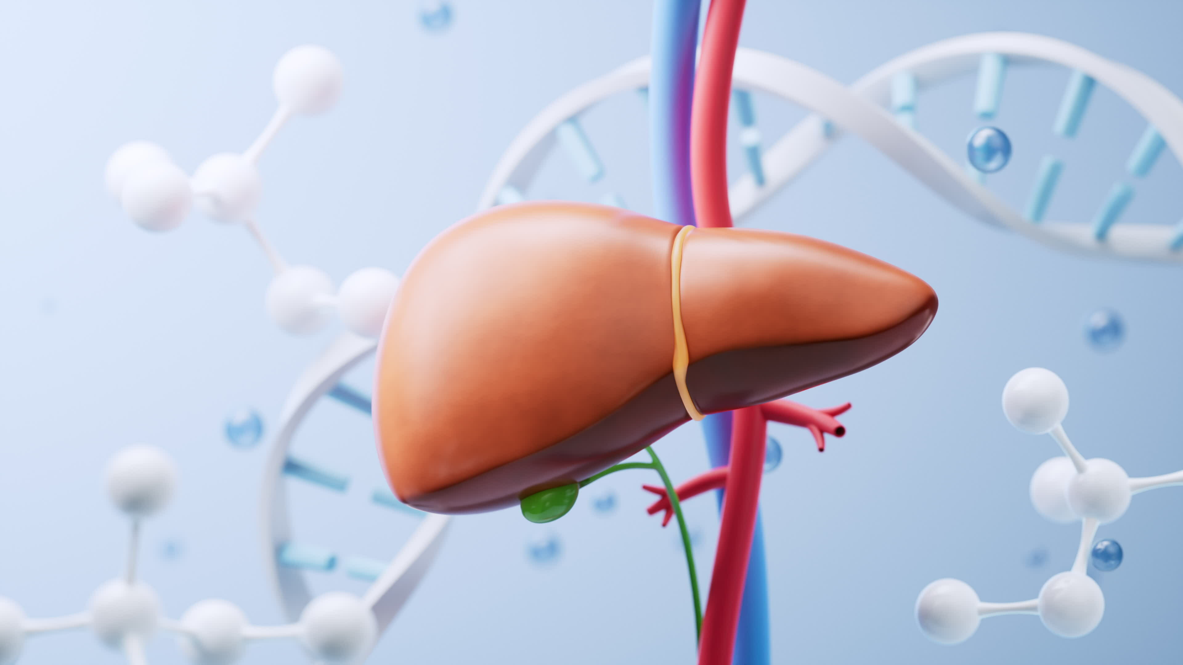 Liver and biological concept background, 3d rendering. 35503624 Stock
