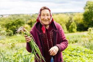 retrato de un mayor mujer en un jardín. foto