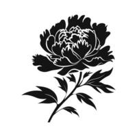 A Peony Flower Vector Silhouette isolated on a white background