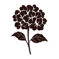 A Hydrangea Flower Vector Silhouette isolated on a white background