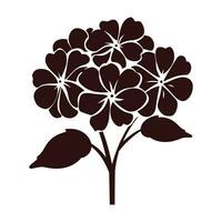 A Hydrangea Flower Vector Silhouette isolated on a white background