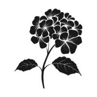 A Hydrangea Flower Vector Silhouette isolated on a white background