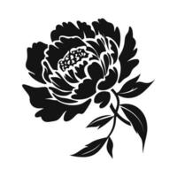 A Peony Flower Vector Silhouette isolated on a white background