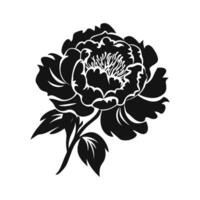 A Peony Flower Vector Silhouette isolated on a white background