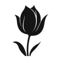 A Tulip Flower Vector Silhouette isolated on a white background