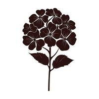 A Hydrangea Flower Vector Silhouette isolated on a white background