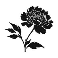 A Peony Flower Vector Silhouette isolated on a white background