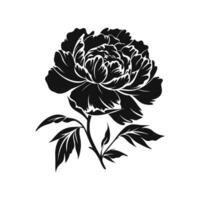 A Peony Flower Vector Silhouette isolated on a white background