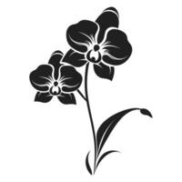 A Orchid Flower Vector Silhouette isolated on a white background