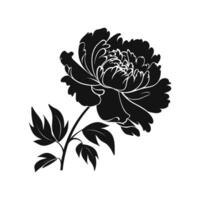 A Peony Flower Vector Silhouette isolated on a white background