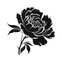 A Peony Flower Vector Silhouette isolated on a white background