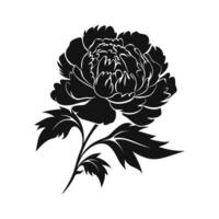 A Peony Flower Vector Silhouette isolated on a white background