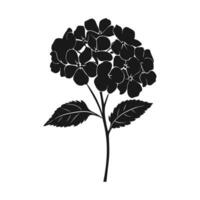 un hortensia flor vector silueta gratis