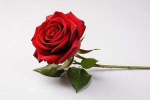 AI generated Solitary Red Rose Placed on a Pristine White Surface photo