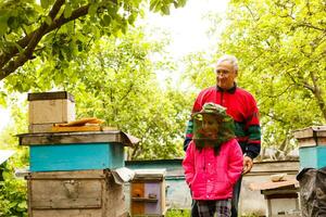 An experienced beekeeper transfers knowledge of beekeeping to a small beekeeper. The concept of transfer of experience photo