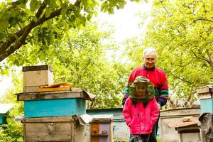 Experienced beekeeper grandfather teaches his granddaughter caring for bees. Apiculture. The concept of transfer of experience photo