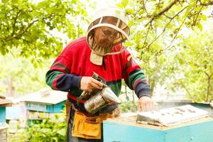 Beekeeper is working with bees and beehives on the apiary. Beekeeper on apiary. photo