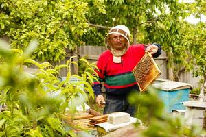 Beekeeper holding a frame of honeycomb photo