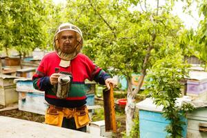 Beekeeper is working with bees and beehives on the apiary. Beekeeper on apiary. photo