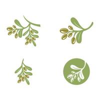 olive icon vector illustration