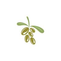 olive icon vector illustration