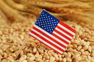 USA America flag on grain wheat, trade export and economy concept. photo