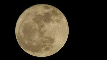 rot Supermond gesehen mit Teleskop video