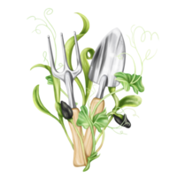 ein Komposition von Garten Werkzeuge und jung schießt von Grün. klein Bauernhof Schaufeln und Rechen mit Spinat, Erbse und Sonnenblume Sämlinge. Ausrüstung zum Florist und Arbeit im das Boden. isoliert Illustration png