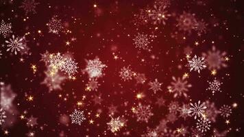 Beautiful winter falling snowflakes, shiny golden stars and glittering snow particles on a festive red background. This Winter snow, Christmas motion background animation is a seamless loop. video
