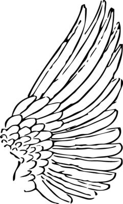 Feathers Silhouette Vector on white background
