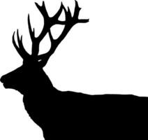 Deer Silhouette Vector on white background