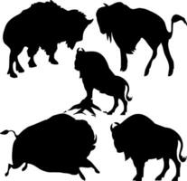 Bison Silhouette Vector on white background