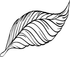 Feathers Silhouette Vector on white background