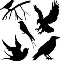 Bird Silhouette Vector on white background