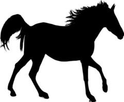 caballo silueta vector en blanco antecedentes