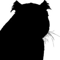 Panther Silhouette Vector on white background