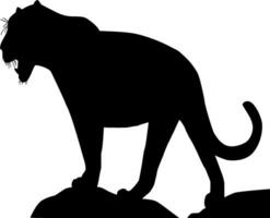 Panther Silhouette Vector on white background