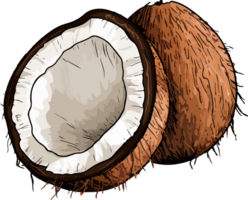 AI generated Coconut clipart design illustration png