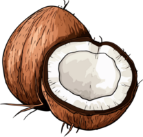 AI generated Coconut clipart design illustration png