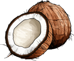 AI generated Coconut clipart design illustration png