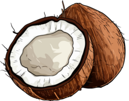 AI generated Coconut clipart design illustration png