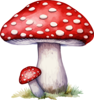 AI generated Mushroom clipart design illustration png