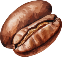 ai généré café haricot clipart conception illustration png