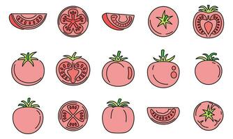 Tomato food icons set vector color