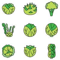 Agriculture cabbage icons set vector color