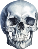 AI generated Human skull clipart design illustration png